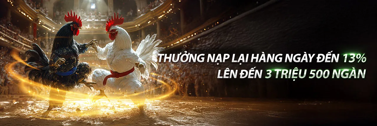 Đá Gà i88 login 2026: Trải Nghiệm Cược Đỉnh Cao An Toàn & Hấp Dẫn